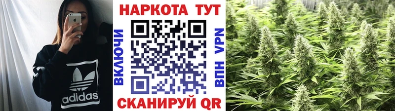 Купить наркотики цена Задонск ОМГ ОМГ tor  Марихуана  Меф мяу мяу  ГАШИШ  Alpha PVP  Галлюциногенные грибы 