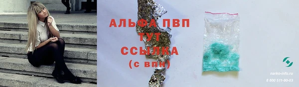 стафф Зеленокумск