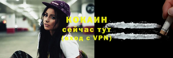 стафф Зеленокумск