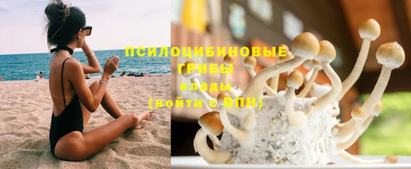 стафф Зеленокумск