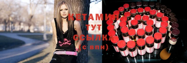 ПСИЛОЦИБИНОВЫЕ ГРИБЫ Заводоуковск